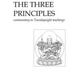 Foto van voorkant kaft The Three Principles