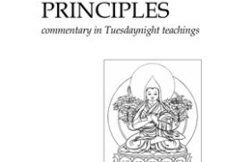 Foto van voorkant kaft The Three Principles