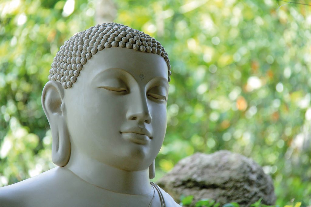 Foto hoofd van een boedha in meditatie