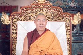 Foto Z.E.Tokden Rinpoche