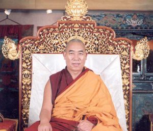 Foto Z.E.Tokden Rinpoche