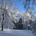 Bomen en huis onder de sneeuw bij helderblauwe hemel