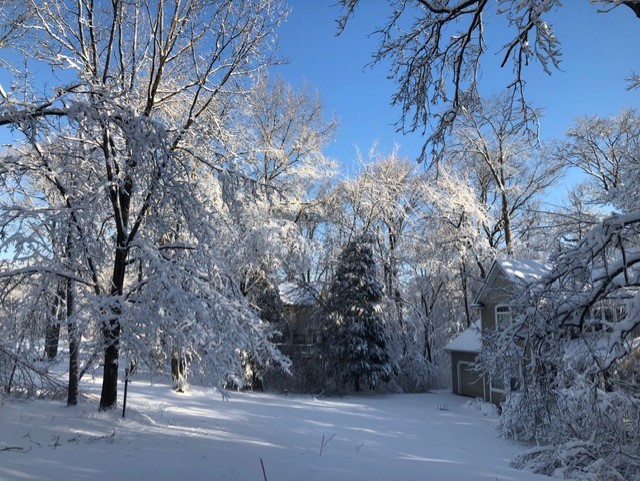 Bomen en huis onder de sneeuw bij helderblauwe hemel